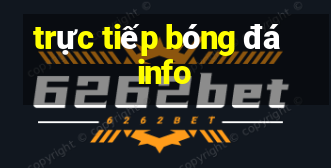 trực tiếp bóng đá info