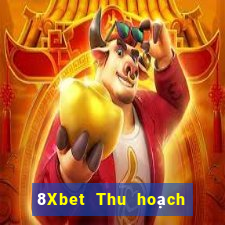 8Xbet Thu hoạch phòng game bài