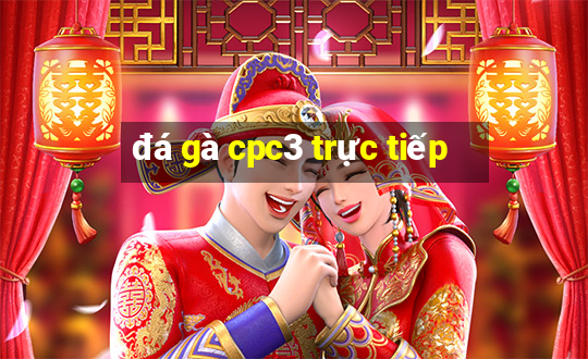 đá gà cpc3 trực tiếp