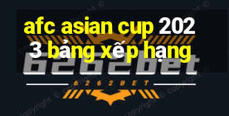 afc asian cup 2023 bảng xếp hạng