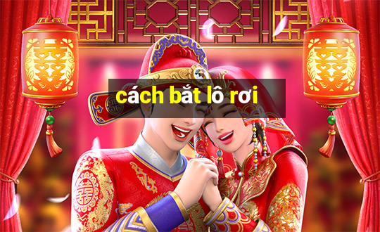 cách bắt lô rơi