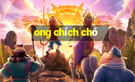 ong chích chó