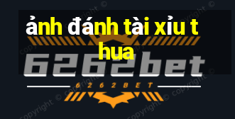 ảnh đánh tài xỉu thua