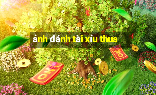 ảnh đánh tài xỉu thua