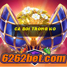 ca boi trong ho