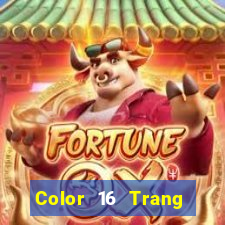 Color 16 Trang chủ Tải về