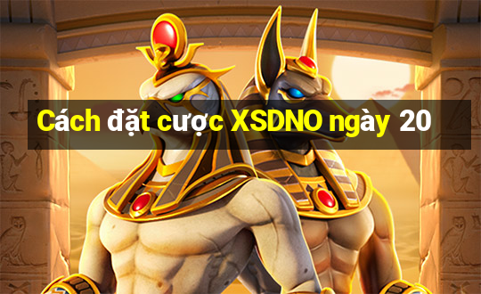 Cách đặt cược XSDNO ngày 20