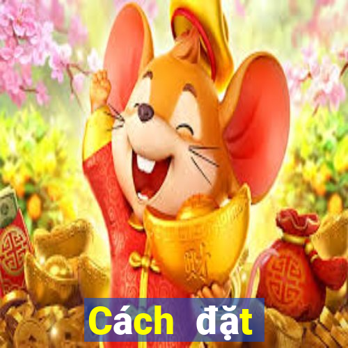 Cách đặt cược XSQT Thứ 3