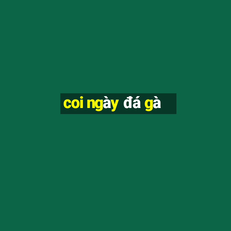 coi ngày đá gà