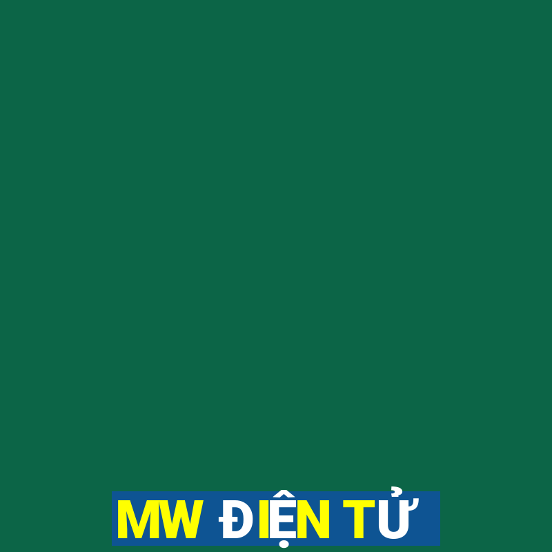 MW ĐIỆN TỬ