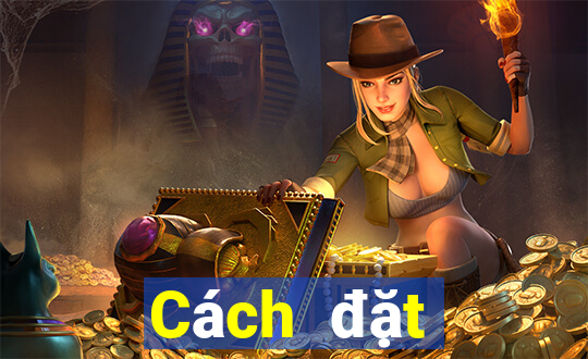 Cách đặt cược XSQN ngày 11