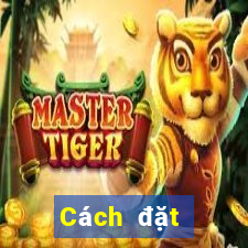 Cách đặt cược XSDNA ngày 18