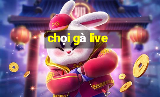 chọi gà live