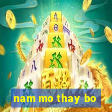 nam mo thay bo