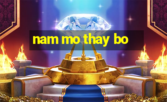 nam mo thay bo