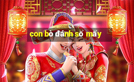 con bò đánh số mấy