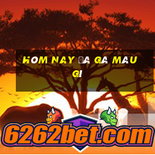 hôm nay đá gà màu gì