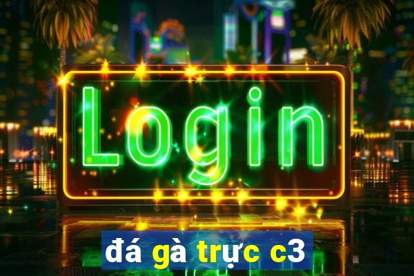 đá gà trực c3