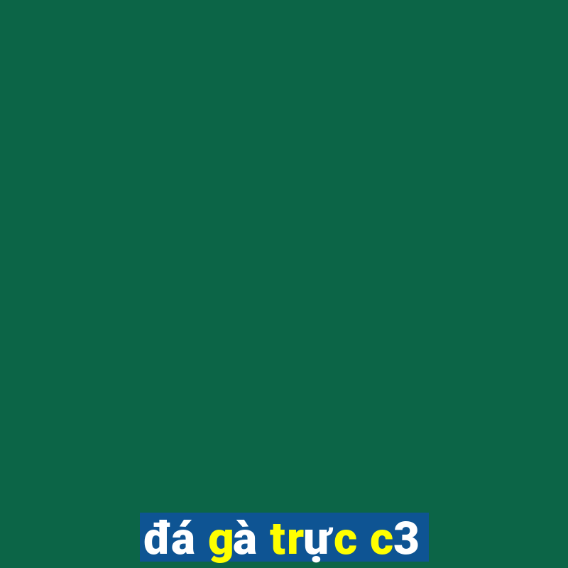 đá gà trực c3