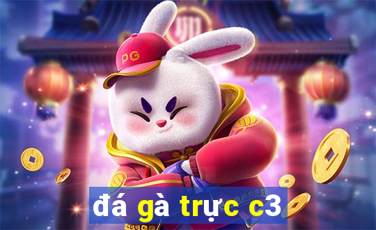 đá gà trực c3