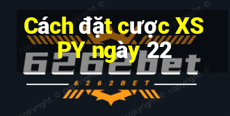 Cách đặt cược XSPY ngày 22