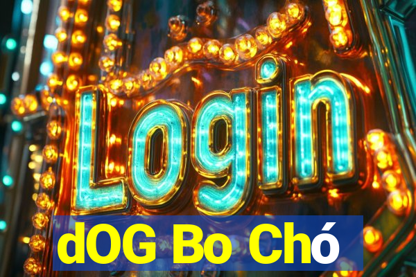 dOG Bo Chó