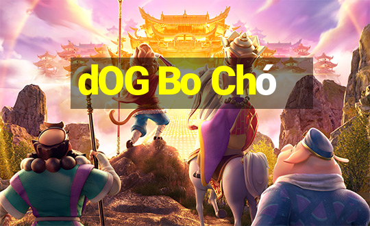 dOG Bo Chó