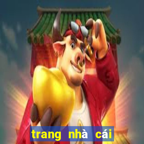 trang nhà cái bóng đá