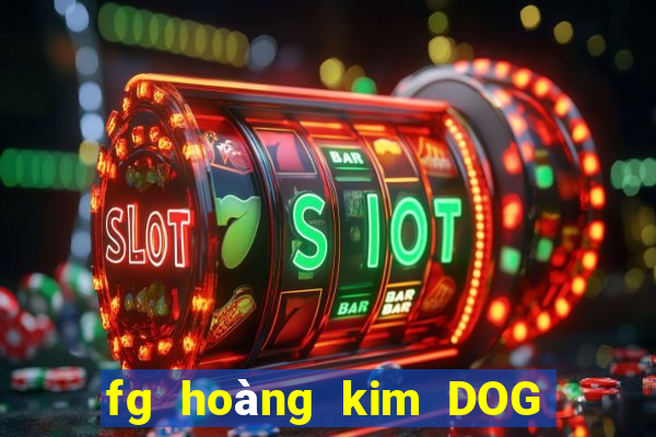 fg hoàng kim DOG Móng Cái