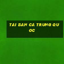 tai ban ca trung quoc