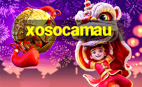 xosocamau