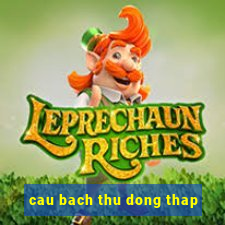 cau bach thu dong thap