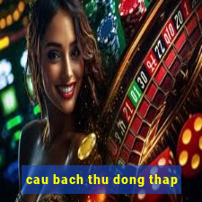 cau bach thu dong thap