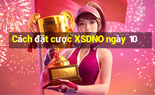 Cách đặt cược XSDNO ngày 10