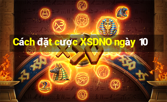 Cách đặt cược XSDNO ngày 10