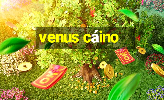 venus cáino