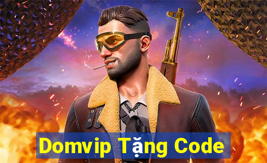 Domvip Tặng Code