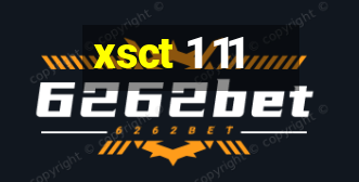 xsct 1 11