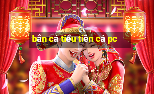 bắn cá tiểu tiên cá pc