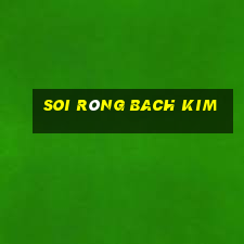 soi rông bach kim