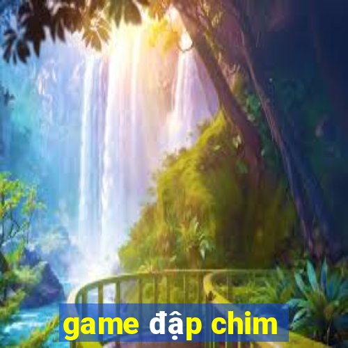 game đập chim