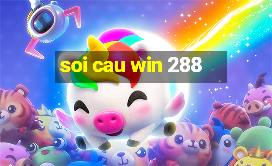 soi cau win 288