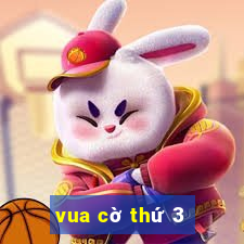 vua cờ thứ 3