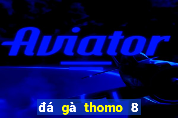 đá gà thomo 8 4 2024