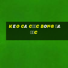 kèo cá cược bóng đá đức