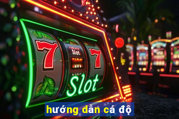 hướng dẫn cá độ