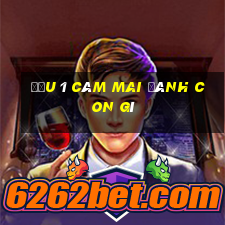 đầu 1 câm mai đánh con gì