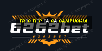 trực tiếp đá gà campuchia