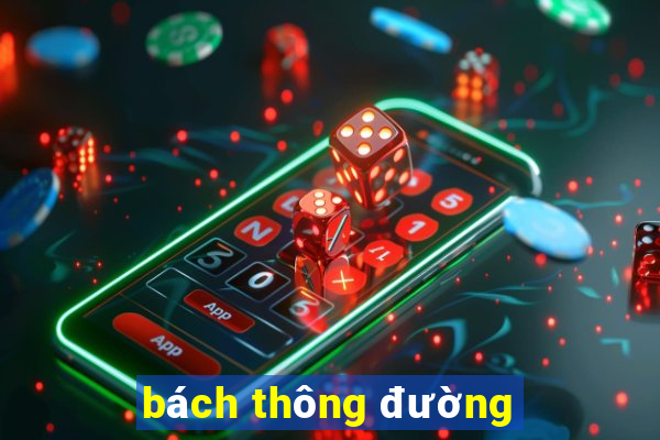 bách thông đường