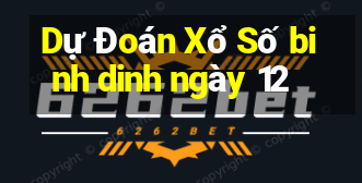 Dự Đoán Xổ Số binh dinh ngày 12